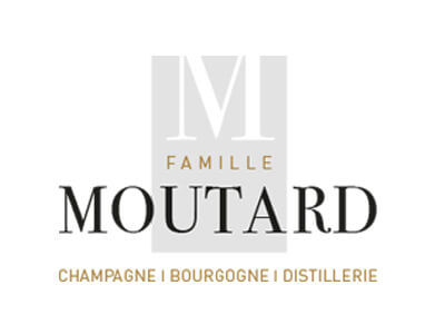 Moutard, champagner online shop wien, champagner kaufen online, 12point5, winzerchampagner